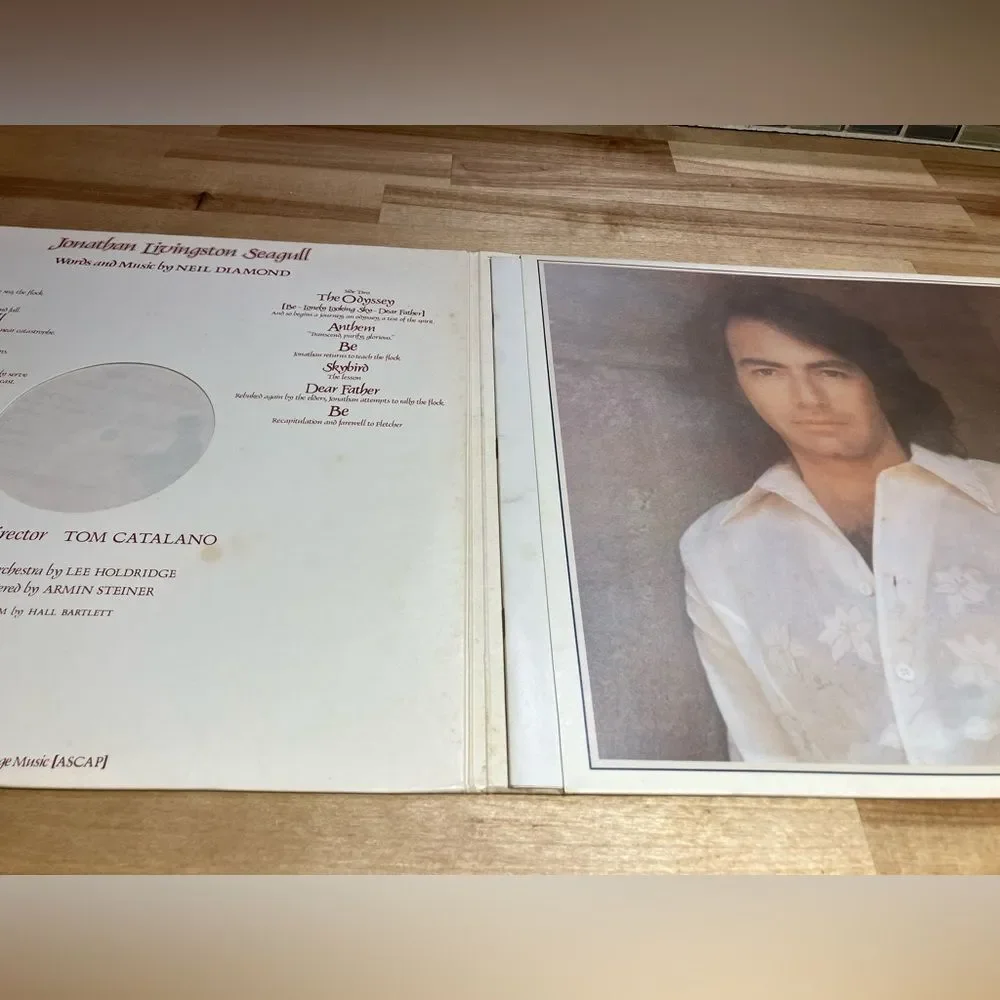 Neil Diamond vinyl record, Jonathon Livingston Seagull album, excellent shape - Picture 2 of 5